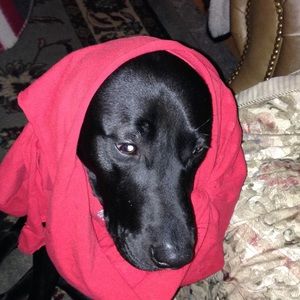 Meet your Posher, Tim